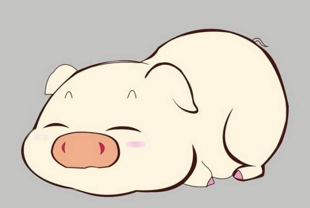 云南昭通，一男子开轿车运送13头猪被罚款，他触犯了哪些交通法则？