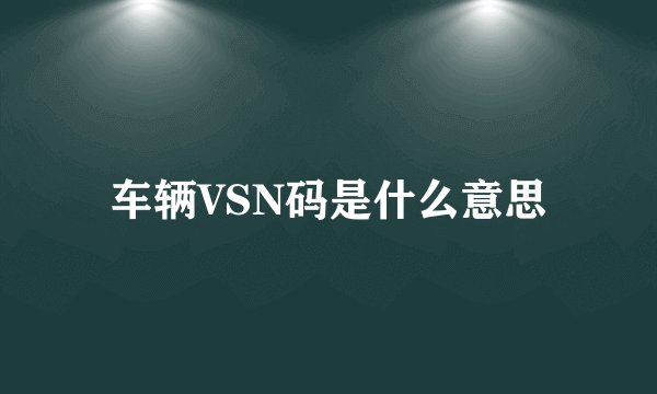 车辆VSN码是什么意思