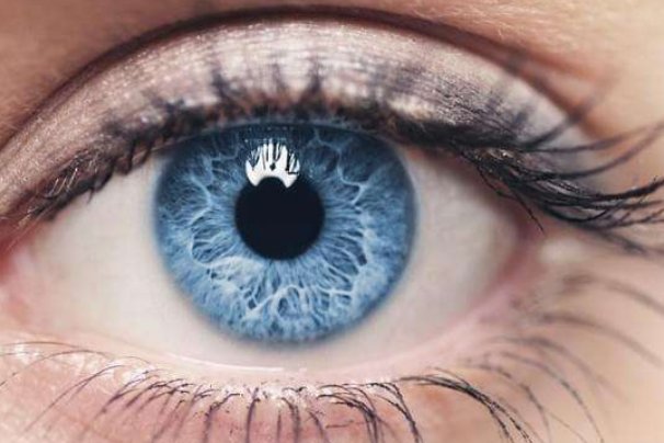 什么颜色对眼睛好