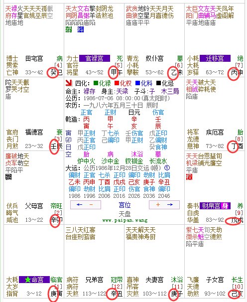十二宫四化飞星是什么意思？请高手回复，谢谢！