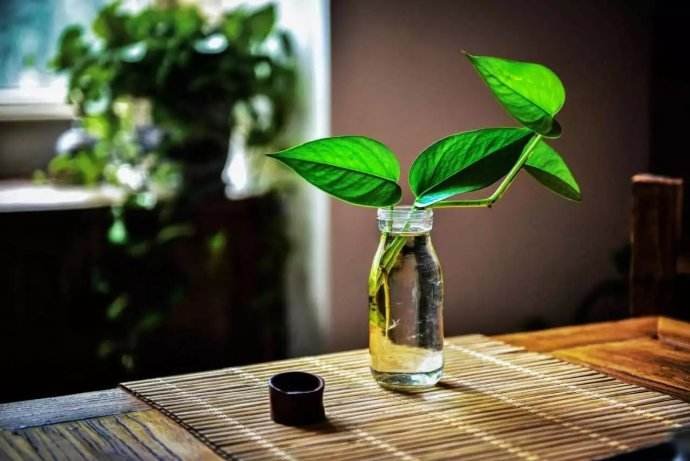 断食的具体方法