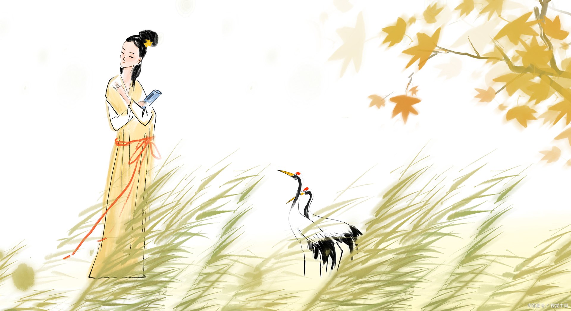 无懈可击之美女如云剧情分集介绍