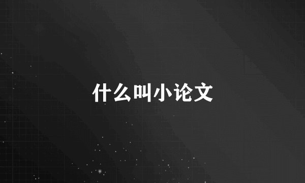 什么叫小论文