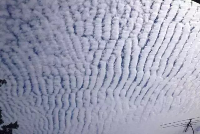 10月11日湖北黄冈3.2级地震，地震来临时有什么征兆吗？