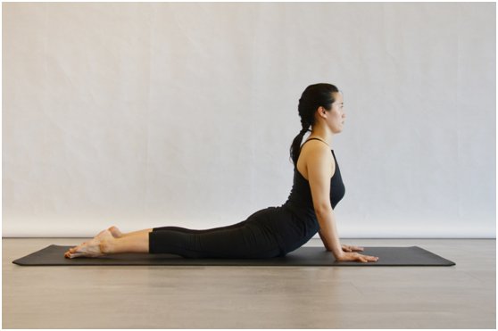 美背的瑜伽动作有哪些