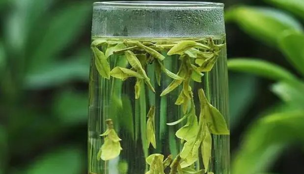 龙井茶十大排名品牌