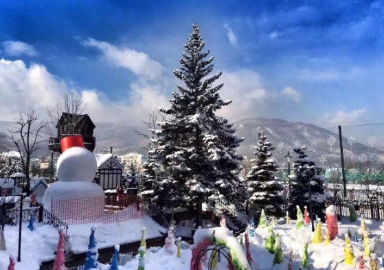 《白色恋人》的含义是什么？