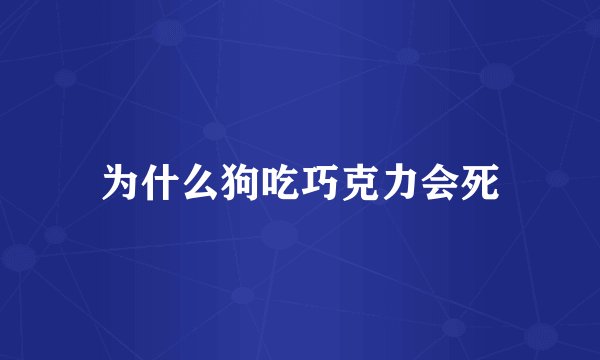为什么狗吃巧克力会死