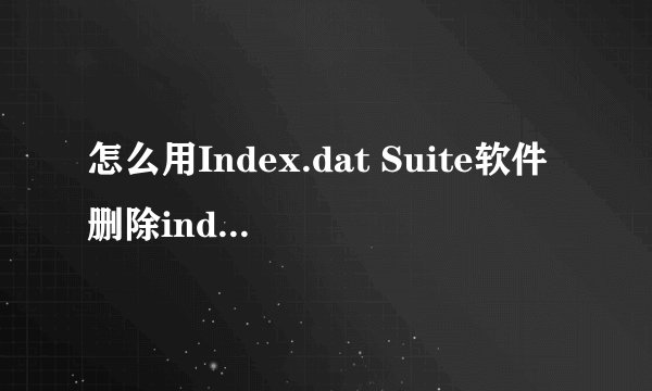 怎么用Index.dat Suite软件删除index.dat文件