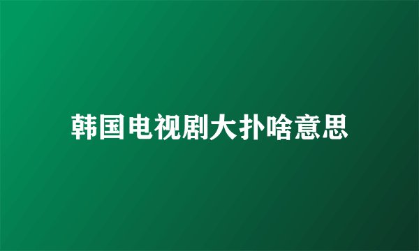 韩国电视剧大扑啥意思