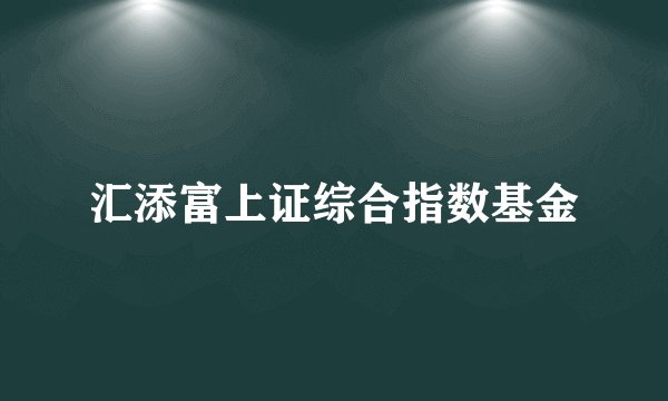汇添富上证综合指数基金