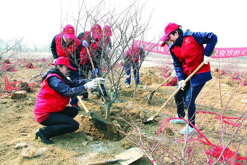 植树造林有哪些好处？