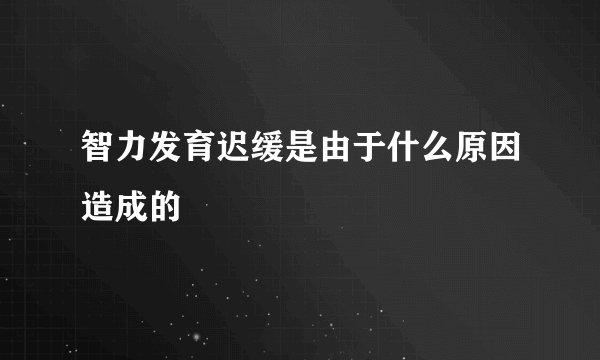 智力发育迟缓是由于什么原因造成的