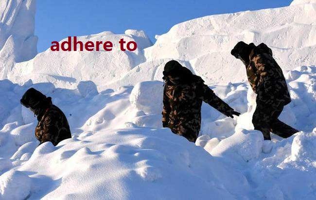 adhere to后加什么