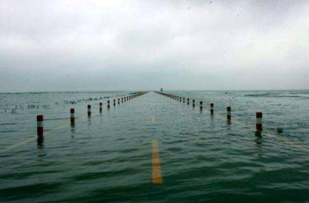 破1998历史极值，鄱阳湖或发生大洪水，2020这是怎么了？