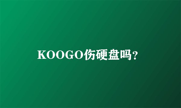 KOOGO伤硬盘吗？
