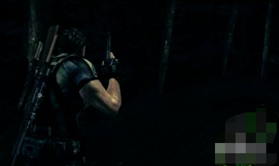 生化危机5语言如何调成中文