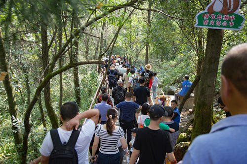景区游客互扯头发抢坐车，还有哪些素质低的游客行为？