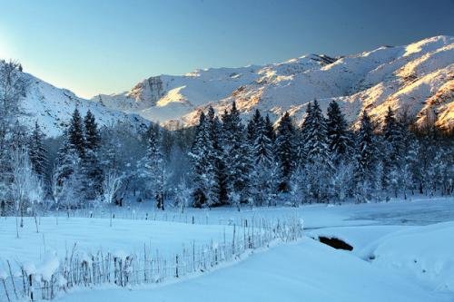 冬至的来历和习俗