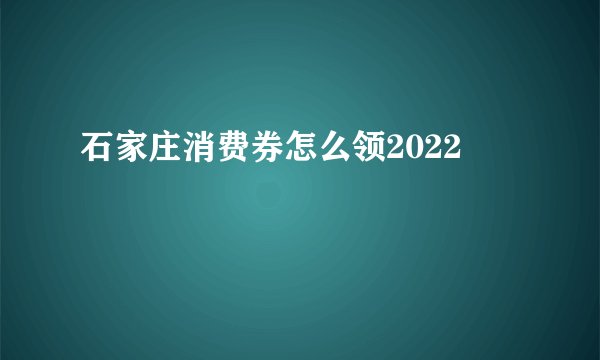 石家庄消费券怎么领2022
