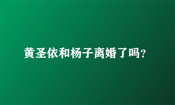 黄圣依和杨子离婚了吗？