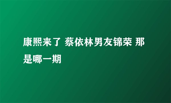 康熙来了 蔡依林男友锦荣 那是哪一期