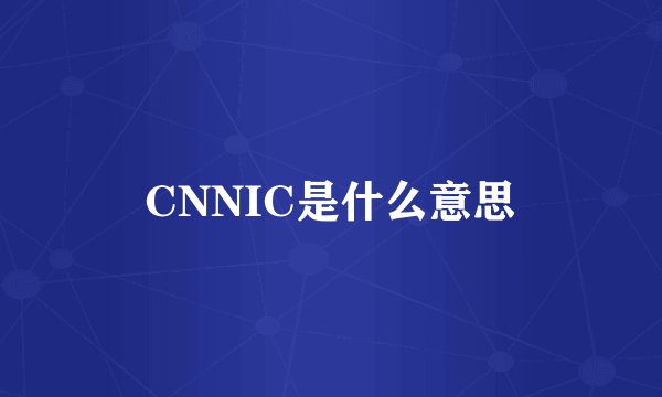 CNNIC是什么意思