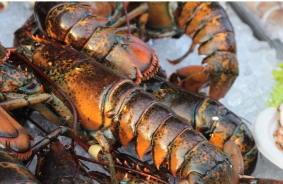 青岛冷链食品外包装分离出活病毒,冷链食品还能吃吗?