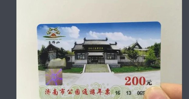 济南电子年票怎么查询