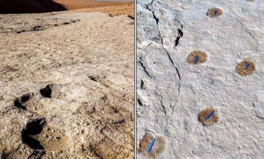 沙特发现距今12万年前人类脚印,具体是什么情况?