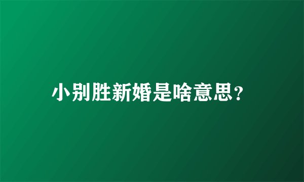 小别胜新婚是啥意思？