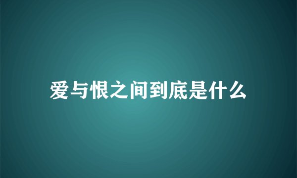 爱与恨之间到底是什么