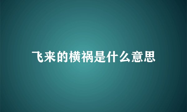 飞来的横祸是什么意思