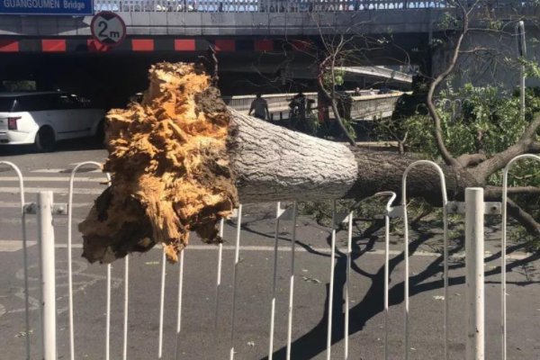 江苏南通大风致11死102伤，现在情况怎么样了？