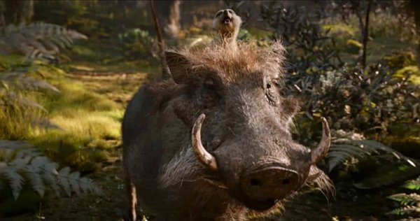 《狮子王》电影只有一个镜头是实拍，看电影能看出来是假的吗？