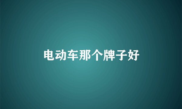 电动车那个牌子好