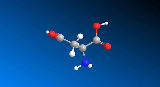 9种必须氨基酸是什么