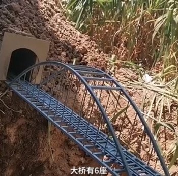 大学生在自家菜地里打造新基建,其目的是什么?
