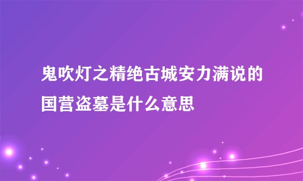 鬼吹灯之精绝古城安力满说的国营盗墓是什么意思