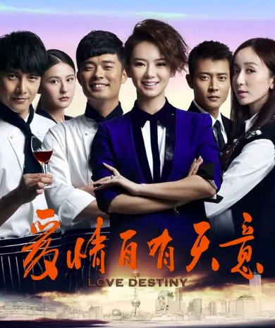 爱情自有天意分集剧情介绍