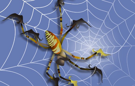 世界上最大的蜘蛛有多大?