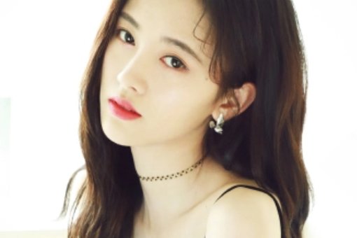 鞠敬伟鞠婧炜多高