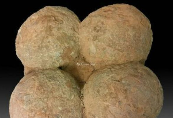 恐龙蛋化石值多少钱