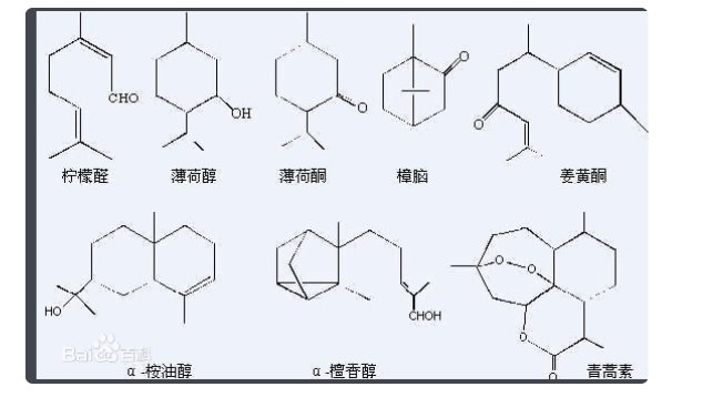 52种萜烯类物质是什么？