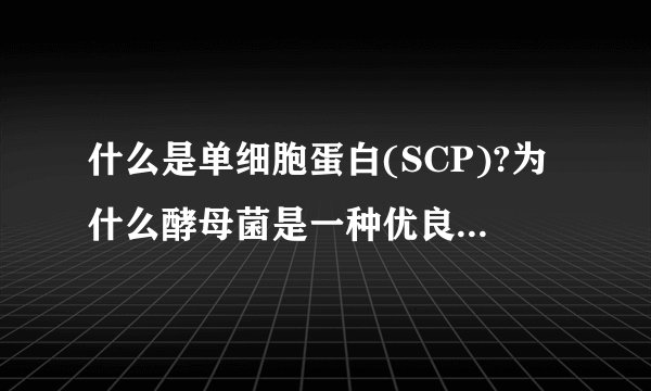 什么是单细胞蛋白(SCP)?为什么酵母菌是一种优良的单细胞蛋白?