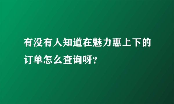 有没有人知道在魅力惠上下的订单怎么查询呀？