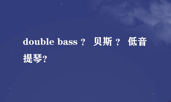 double bass ？ 贝斯 ？ 低音提琴？