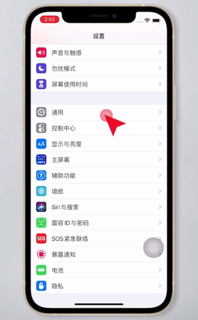 苹果手机怎么查型号