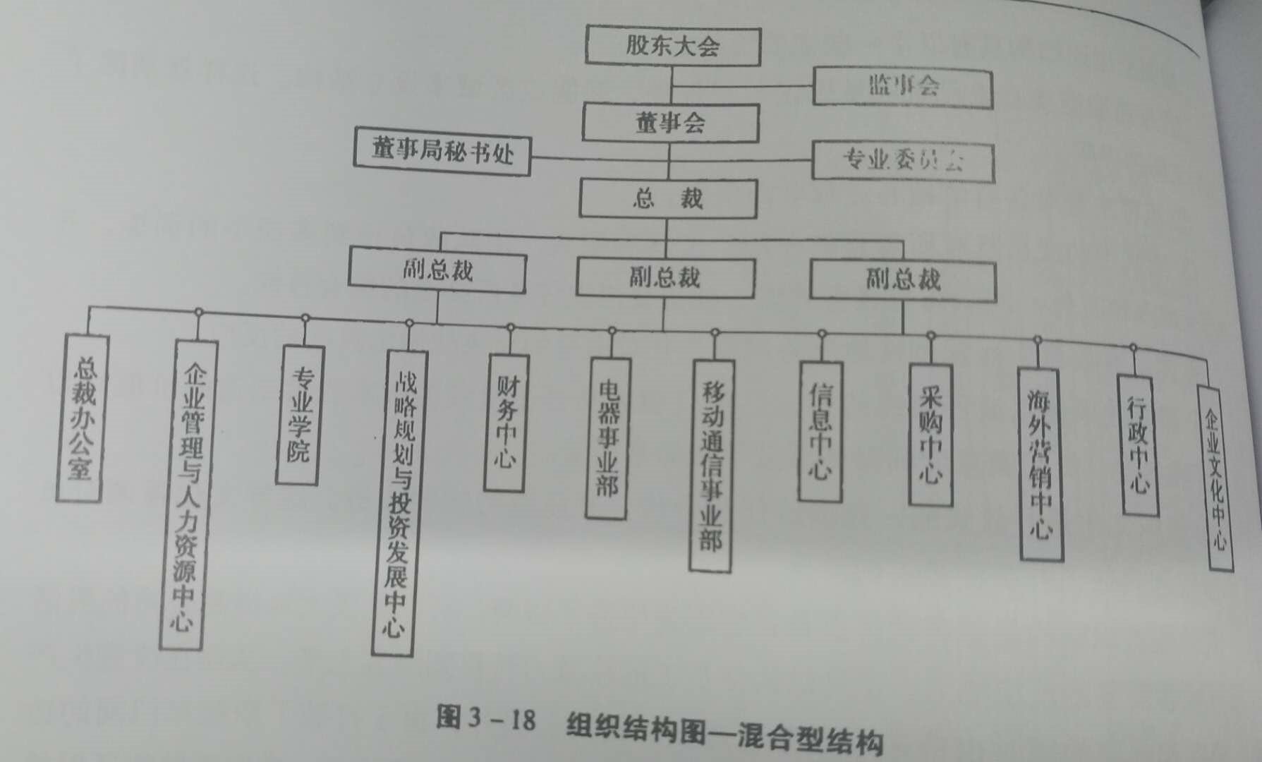 公司组织结构是什么？