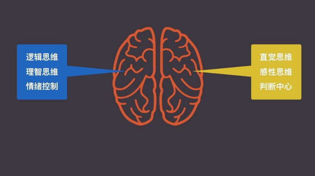 什么是理性，什么是感性？